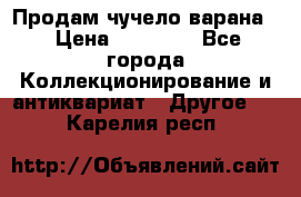 Продам чучело варана. › Цена ­ 15 000 - Все города Коллекционирование и антиквариат » Другое   . Карелия респ.